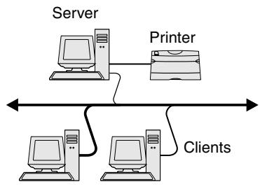 LEXMARK C510 - Windows - 2