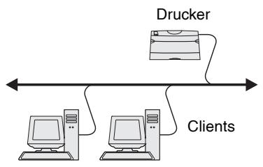 LEXMARK C752 - Direktes Drucken unter Windows 95/98/ME, Windows NT 4.0, Windows 2000, Windows XP und Windows Server 2003 - 1