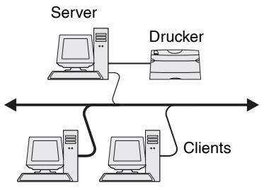 LEXMARK C752 - Gemeinsam genutzer   Druck über einen Server   unter Windows NT 4.0,   Windows 2000,   Windows XP und   Windows Server 2003 - 1