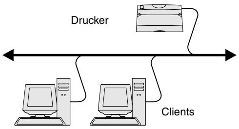 LEXMARK C762 - Direktes Drucken unter Windows 98 SE, Windows ME, Windows NT 4.0, Windows 2000, Windows XP und Windows Server 2003 - 1