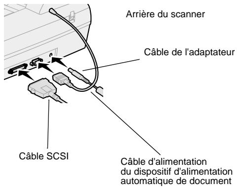 LEXMARK OPTRAIMAGE 242/232 (OCT 2000) - Câble réseau - 1