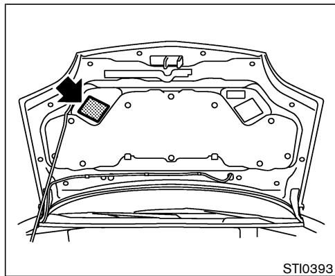 NISSAN X-TRAIL 2006 - ÉTIQUETTE D'HOMOLOGATION C.M.V.S.S - 1