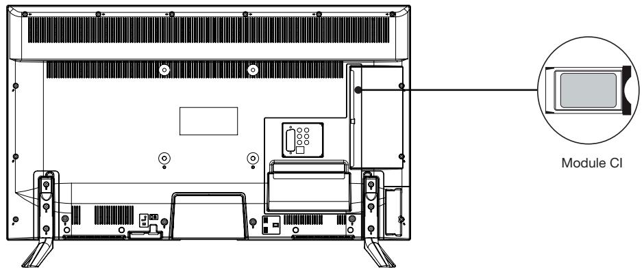 ESSENTIELB 43UHD-F600SM - Branchement d'un module cl - 1
