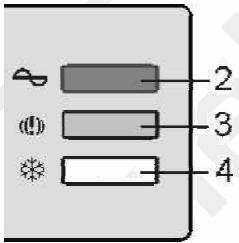 ESSENTIELB ECC 351B - LES TEMOINS LUMINEUX - 1