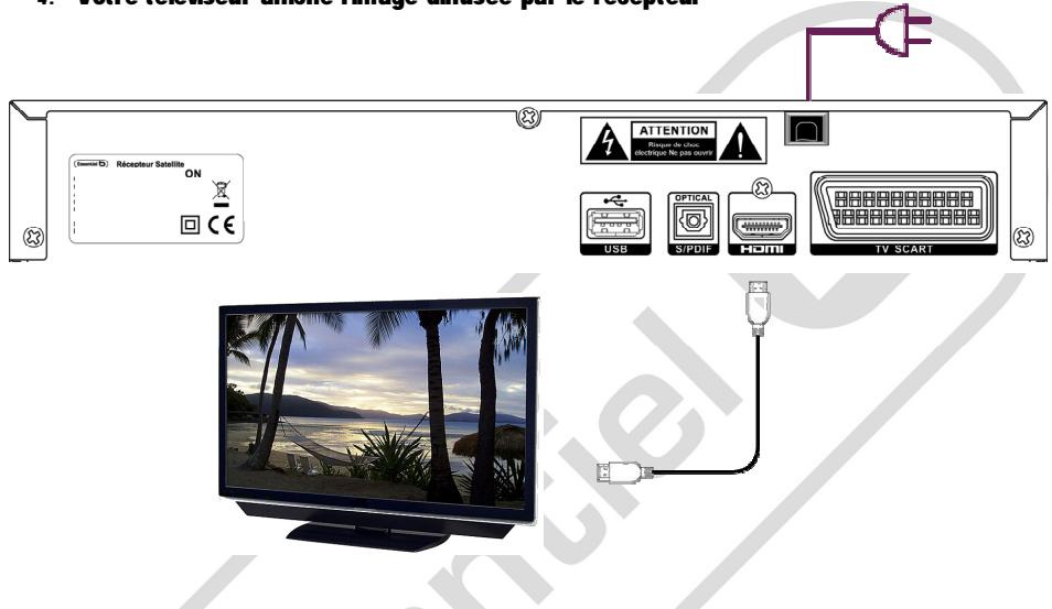 ESSENTIELB MAGICSAT NOMADE HD FRANSAT - BRANCHEMENT D'UN TELEVISEUR EQUIPE D'UN PORT HDMI - 1