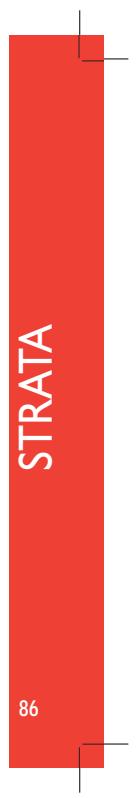 JANE STRATA - MANUTENÇAO - 2