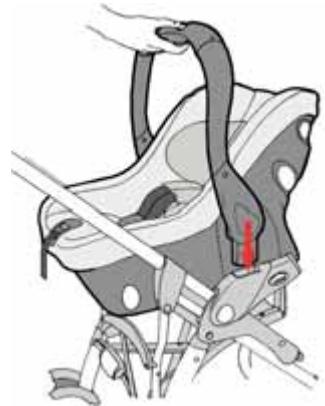 JANE STRATA - Installing Strata in a pushchair. - 1