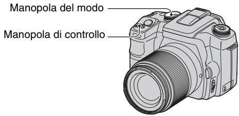 SONY ALPHA 100 - Ripresa con il modo di priorità della velocità dell'otturatore - 15
