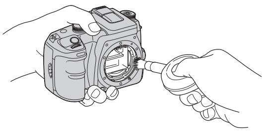 SONY ALPHA 100 - Pulisci CCD - 1