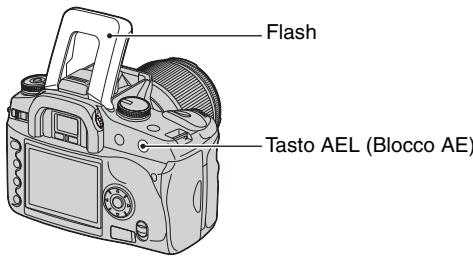 SONY ALPHA 100 - AEL Sincronizzazione lenta (Ripresa dello sfondo scuro con il flash) - 1