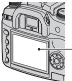 SONY ALPHA 100 - Remarques sur I'ecran LCD et I'objectif - 1