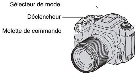 SONY ALPHA 100 - Décalage de programme - 1