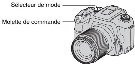 SONY ALPHA 100 - Prise de vue avec le mode de priorite à l'ouverture - 4