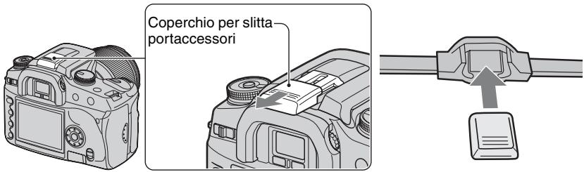 SONY ALPHA 100 - Flash HVL-F56AM/HVL-F36AM - 2
