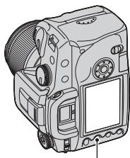 SONY ALPHA 100 - Cambiamento del display di informazioni sulla registrazione - 3
