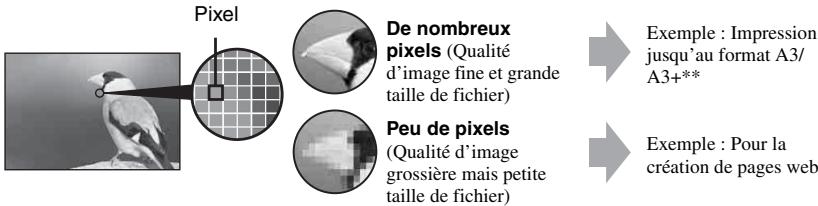 SONY ALPHA 100 - Selection de la taille d'image à utiliser - 1