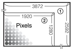 SONY ALPHA 100 - « Qualité d'image » et « taille d'image » - 1