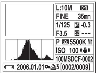 SONY ALPHA 100 - Monitor LCD (Display dell'istogramma) - 1