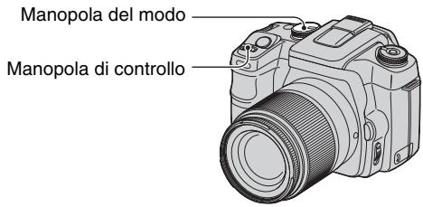 SONY ALPHA 100 - Ripresa con il modo di priorità dell'apertura - 3