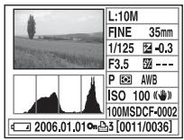 SONY ALPHA 100 - Visualizzazione dell'istogramma - 2