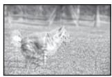 SONY ALPHA 100 - Suggerimenti per evitare l'imagine sfocata - 1