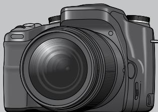 SONY ALPHA 100 - Solutione dei problemi - 1