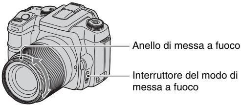 SONY ALPHA 100 - Messa a fuoco manuale - 1