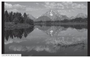 SONY ALPHA 100 - Affichage des images en mode plein écran - 1