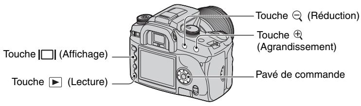 SONY ALPHA 100 - Agrandissement d'images - 1