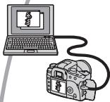 SONY ALPHA 100 - Copied images sur l'ordinateur (page 106) - 1