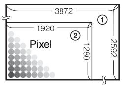 SONY ALPHA 100 - Qualità “Qualità dell'immagine” e “dimensione dell'immagine” - 1
