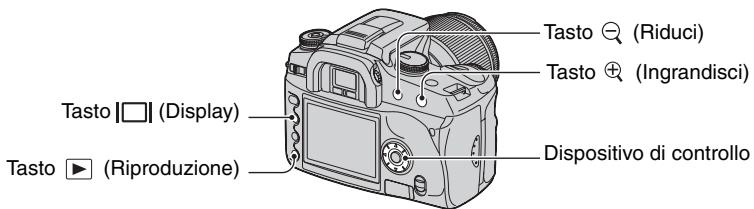 SONY ALPHA 100 - Ingrandimento delle immagini - 1