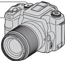 SONY ALPHA 100 - Prise de vue avec le mode de priorite à la vitesse d'obturation - 9