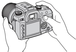SONY ALPHA 100 - Techniques de base pour deGXmeures images - 1