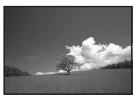SONY ALPHA 100 - Augmentation de l'ouverture - 2