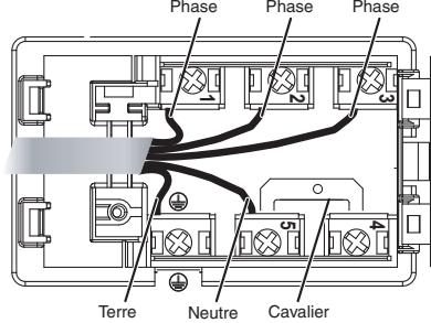 SCHOLTES TRP 741 O L,  TRP741O L - Autres types de branchement - 1