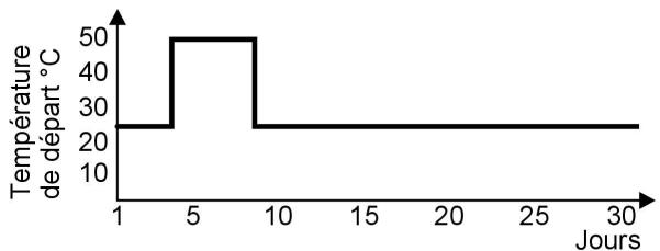 VIESSMANN VITODENS 333 - Fonction séchage de chape - 1