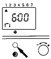 VIESSMANN VITOLA BIFERRAL - Interrogation de la programmation - 1