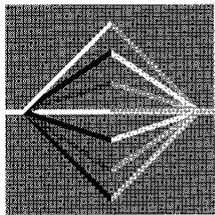 VIESSMANN VITOLA BIFERRAL - Trimatik Viessmann - 1
