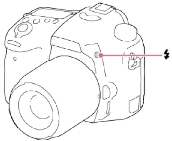 SONY ALPHA 68 - [50] Comment utiliser | Utilisation des fonctions de prise de vue | Utilisation du flash Utilisation du flash - 1