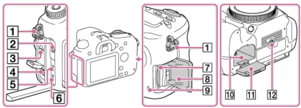 SONY ALPHA 68 - Indicateur de position du capteur d'image - 2