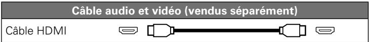DENON RC 1167 - Câbles utilisés pour les connexions - 1