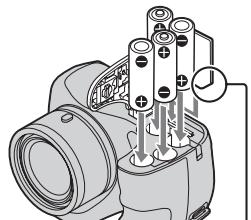 SONY DSC H300 & CYBER-SHOT DSC-H300 - Partage d'images - 6