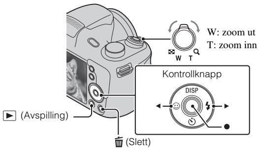 SONY DSC H300 & CYBER-SHOT DSC-H300 - Vise bilder - 1