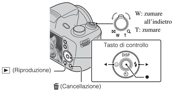 SONY DSC H300 & CYBER-SHOT DSC-H300 - Visione delle immagini - 1