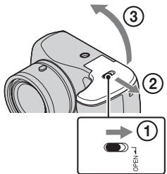 SONY DSC H300 & CYBER-SHOT DSC-H300 - De batterijen/een geheugenkaart plaatsen (los verkrijgbaar) - 1