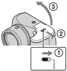SONY DSC H300 & CYBER-SHOT DSC-H300 - Inserción de las pilas/una tarjeta de memoria (se vende por separado) - 1