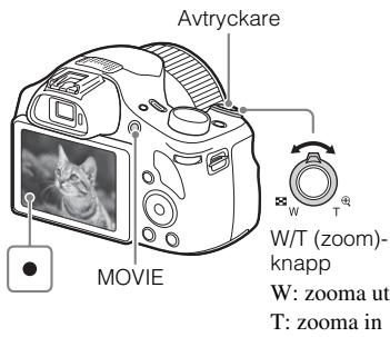 SONY DSC-HX400V - Anmärknigar - 5