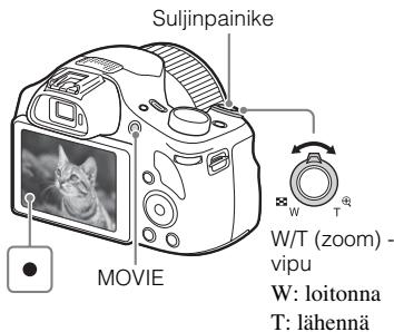 SONY DSC-HX400V - Huomautuksia - 4