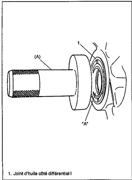 SUZUKI BALENO - Reemplacement - 1